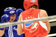 EK Boksen Dames 2011