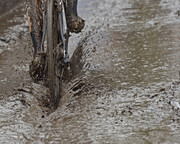 Veldrijden / MTB