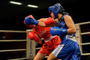 NK Boksen 2013
