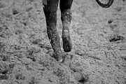 NK Veldrijden 2015, 
