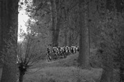 Omloop van Borsele E