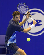 Robin Haase