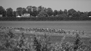 26-05-2018: Omloop H